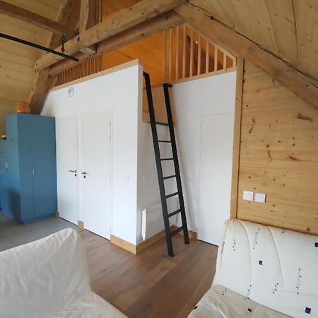 Logement Entre Lac Et Montagne Annecy Exterior foto